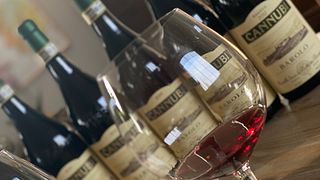 Cannubi: Paseo por el viñedo y experiencia Barolo