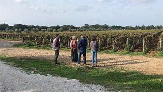 Tour exclusivo por el Valle de Orcia desde Florencia: un universo cinematográfico para los amantes del vino