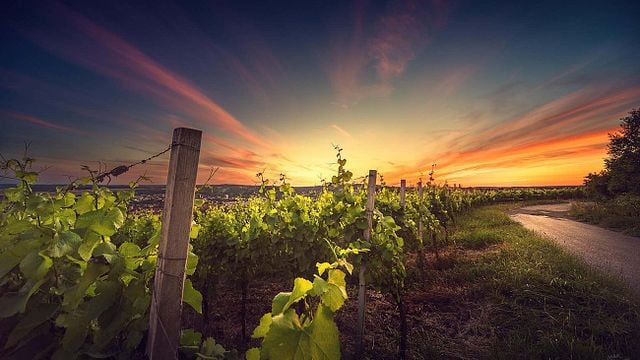 Istria Safari - Descubra la pasión de Istria
