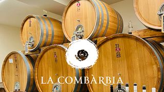 Emocionante visita privada à adega com o produtor e degustação de 4 vinhos, incluindo Vino Nobile DOCG