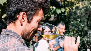 Cata de vinos ecológicos en la bodega Niedermayr