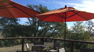 Woodenhead Winery