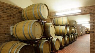 Visita e degustazione di vini presso la Cantina Villa Melnik