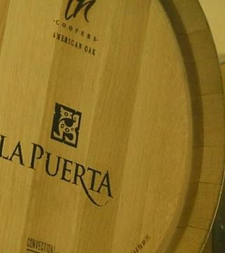Cata y tour de vinos en Valle De La Puerta