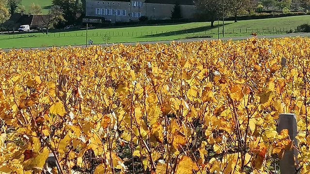 Vinprovning och rundtur på Domaine Du Château De Messey
