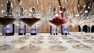 Posavska Wine Journey at Albiana Estate