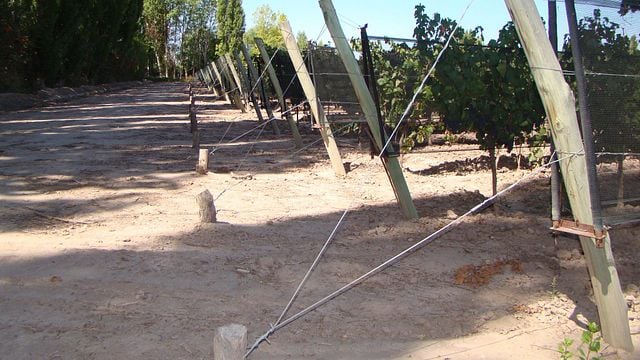 Wine Cellars in Mendoza