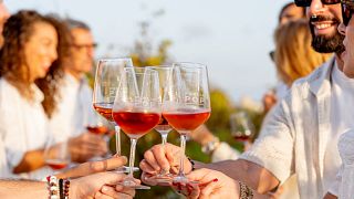 Enjoy a Wine Tasting & Artisan Bites in Puglia