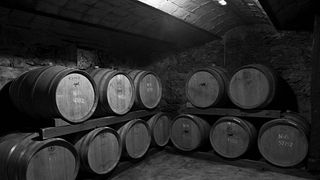 Dégustation et visite de vins à Vinyes Dels Aspres