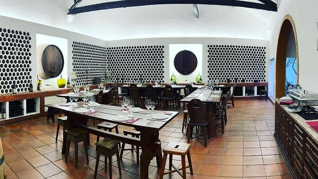 Cata de Vinos y Quesos Artesanales DOP