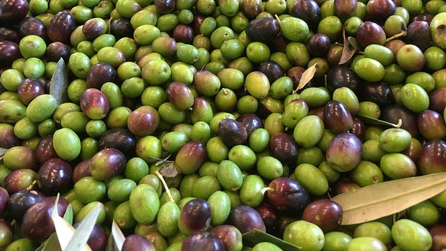 Tapiz de Istria
