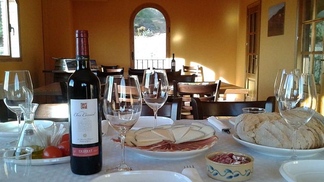 Dégustation de vins et visite à Ametller
