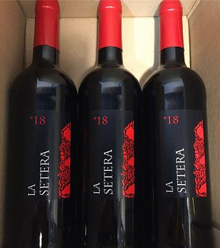 Degustação de vinhos populares e tour na Bodega La Setera