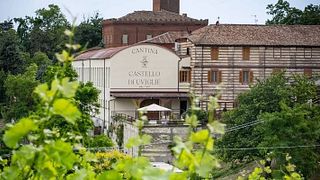 Der Castello di Uviglie-Stil: Besichtigung der antiken Pietra da Cantoni-Steinbrüche, Weingutbesuch und Verkostung