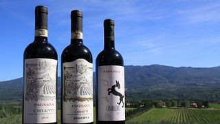 Traditionelle Chianti-Weinprobe in Pagnana