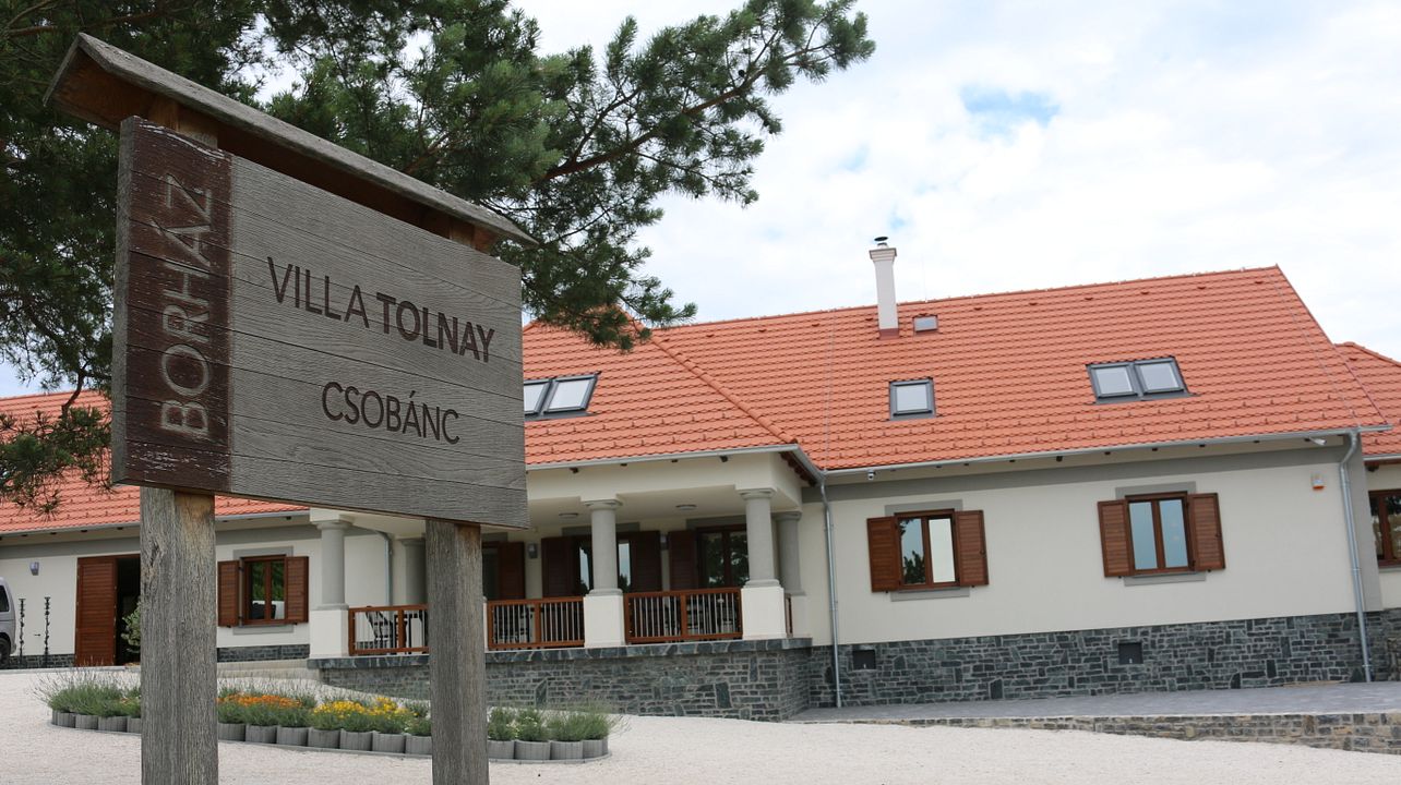 Cata de vinos en Villa Tolnay Borhaz