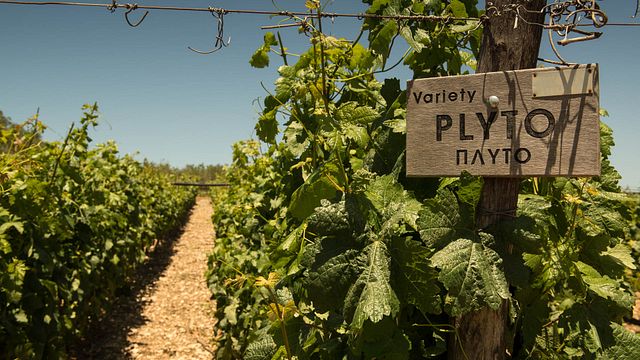 Lyrarakis Winery