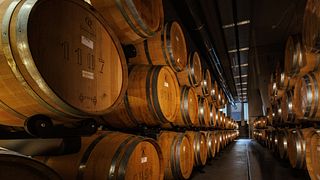 Le Origini - Visite guidée avec dégustation