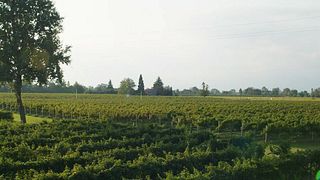 Degustação de vinhos premium no Le Carline