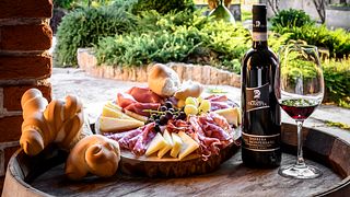DÉGUSTATION DE VINS SUR LA TERRASSE AVEC VUE SUR LE VIGNOBLE