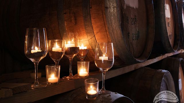 Degustação de vinhos populares na vinícola 919