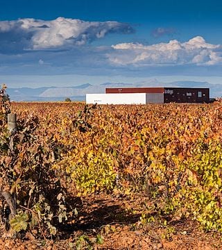 Dégustation de vins et visite à Leyenda Del Paramo
