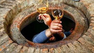 Recorrido privado de día completo por las bodegas 