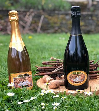 Dégustation et visite de vins chez St. Laurentius Sekt Gmbh