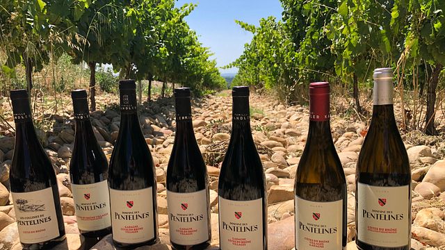 Degustação de vinhos e tour pela vinícola no Domaine des Pentelines