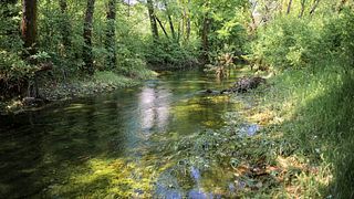 Vino y cena en la naturaleza | Jokaš