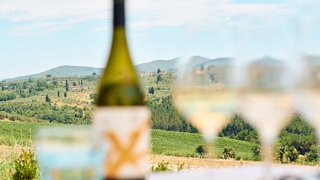 The Golden Hour: aperitif overlooking our vineyards