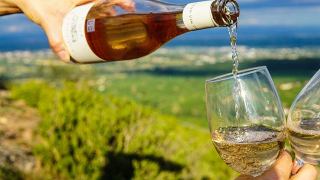 Röd terapi | Vintur på Mornington Peninsula (Privat Tour)