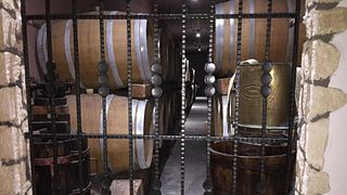 Amarone experience at Vogadori Family