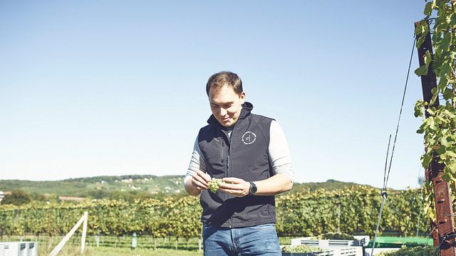 Weingut Krispel