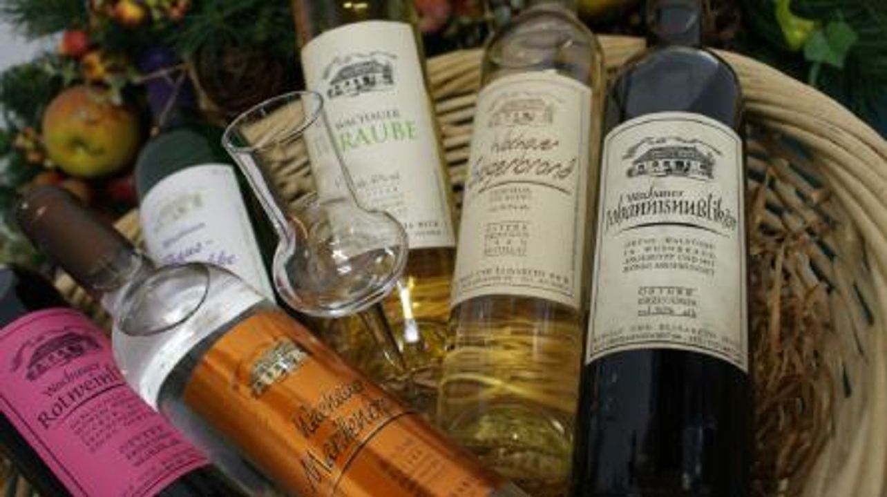 Degustação de vinhos no Hick Maria e associados