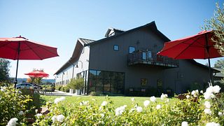 California Wine Tour: Mauritson's Sustainable Vines & Tastes