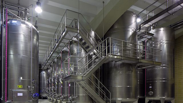 Discover Veneto Wines on an Underground Cellar Tour
