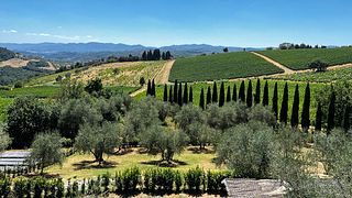 Esperienza nel Chianti Rufina a Villa Travignoli