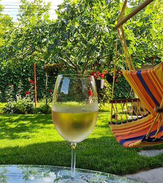 Villa Vinifera Winery