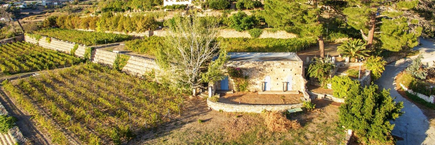 Montofoli Aerlia Wine Cellars