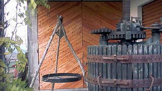 Piedmont Wine & Vineyard Tour at Criolin