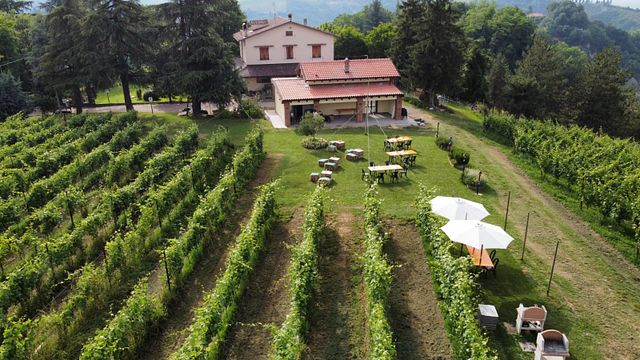 Monteveglio wine experience at Podere Casa Piana in Bologna's countryside