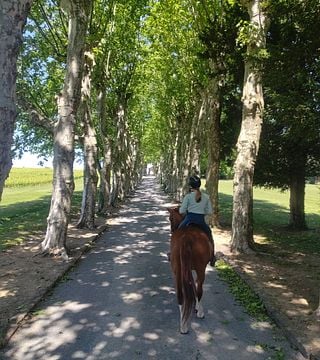 Weinprobe und Tour im Château des Ravatys