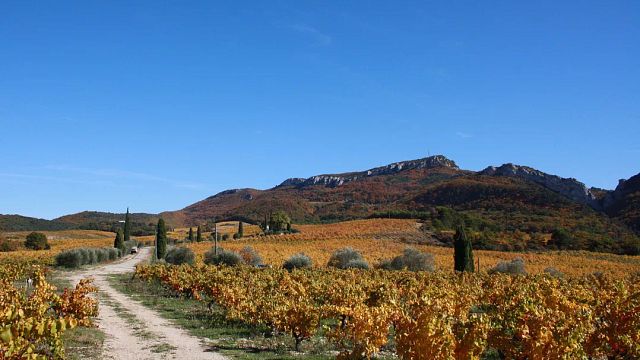 Degustazione di vini Gigondas da Pierre Amadieu