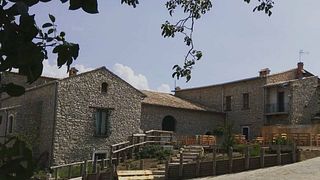 Visitas a bodegas y cata de vinos en Tenute Casoli Società Agricola