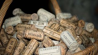 Dégustation et visite des vins du Domaine Larroudé