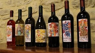 Visita guiada y cata de vinos en la Cantina Brugnoni