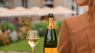 Degustación de Veuve Clicquot y visita privada divertida en Champagne