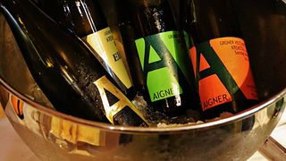 Weingut Aigner: A Legacy of Excellence