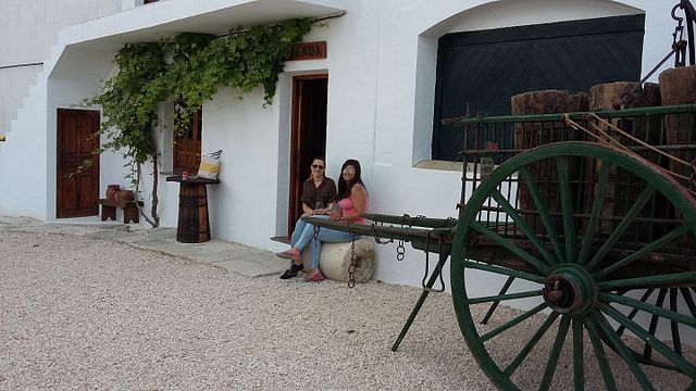 Visita a una bodega histórica y cata de vinos | Bodega Del Nero